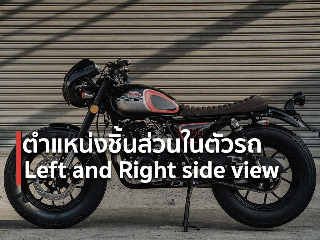 Left and Right side view - CENTAUR 250 MAX II - Stallions Motor